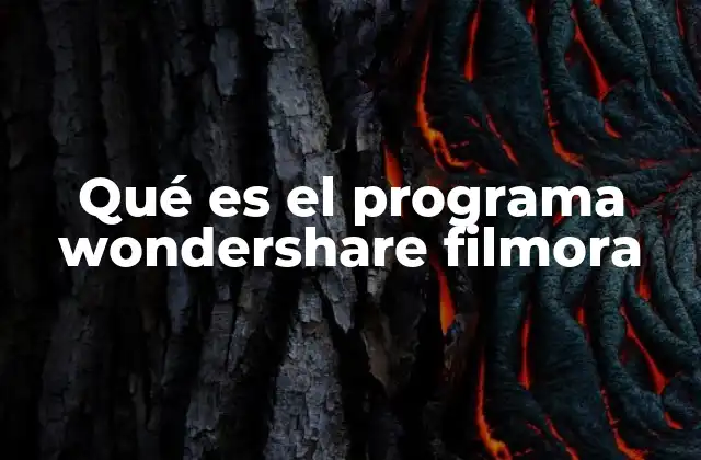 Qué es el Programa Wondershare Filmora