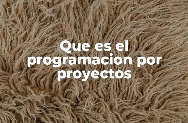 Que es el Programacion por Proyectos