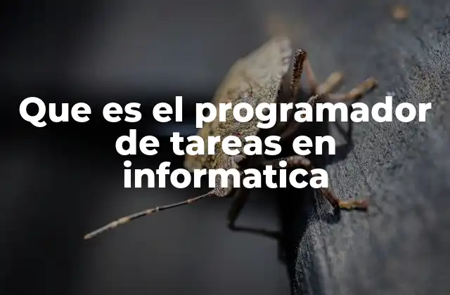 Que es el Programador de Tareas en Informatica