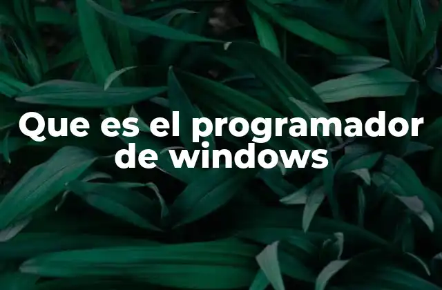 El rol del programador de Windows en el ecosistema tecnológico