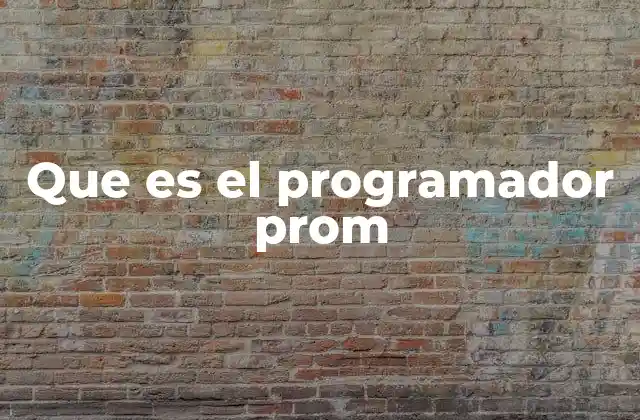 Que es el Programador Prom