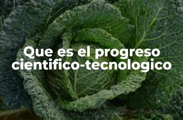 Que es el Progreso Cientifico-tecnologico