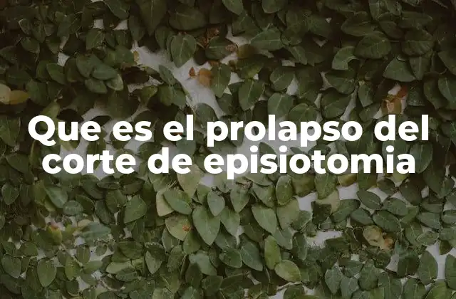 Que es el Prolapso Del Corte de Episiotomia
