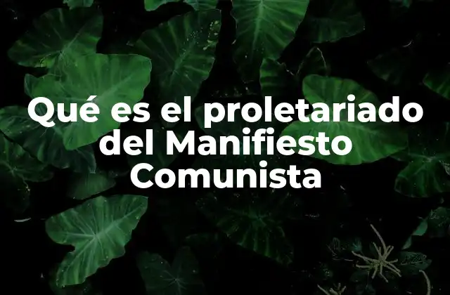 Qué es el Proletariado Del Manifiesto Comunista