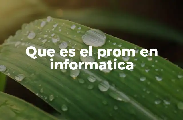 Que es el Prom en Informatica