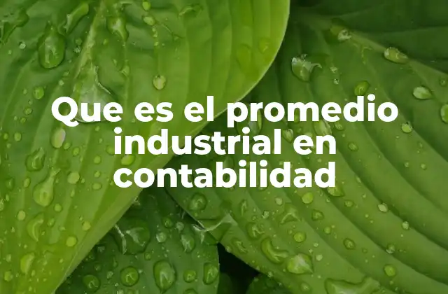 Que es el Promedio Industrial en Contabilidad