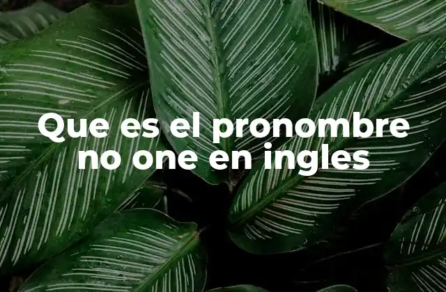 Que es el Pronombre No One en Ingles