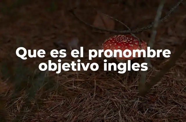 Que es el Pronombre Objetivo Ingles