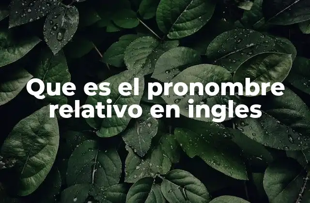 Que es el Pronombre Relativo en Ingles