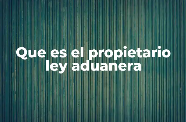 Que es el Propietario Ley Aduanera