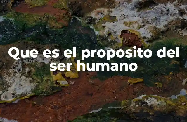 Que es el Proposito Del Ser Humano