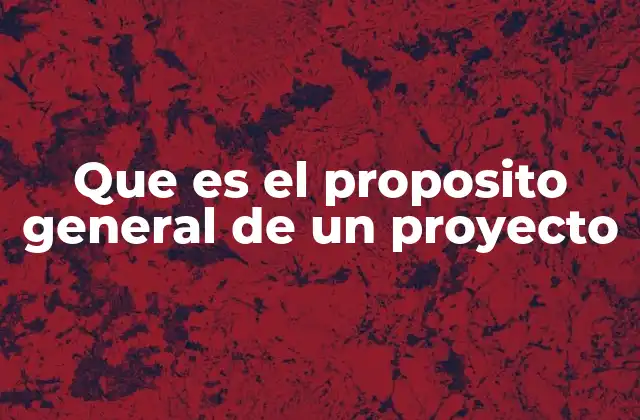 Que es el Proposito General de un Proyecto