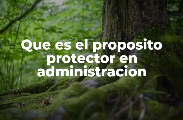 Que es el Proposito Protector en Administracion