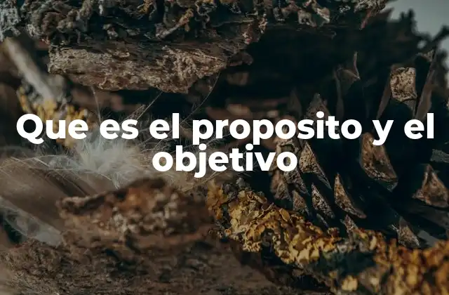 Que es el Proposito y el Objetivo