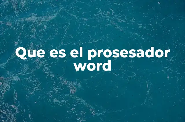 Que es el Prosesador Word