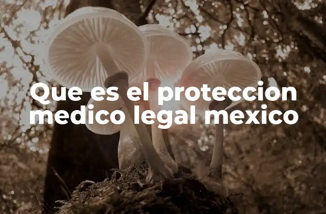 Que es el Proteccion Medico Legal Mexico
