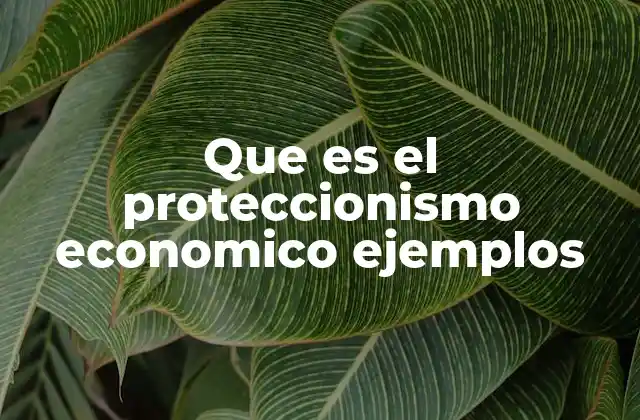 Que es el Proteccionismo Economico Ejemplos