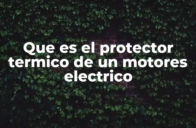 Que es el Protector Termico de un Motores Electrico