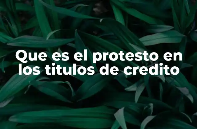 El protesto como mecanismo de protección legal