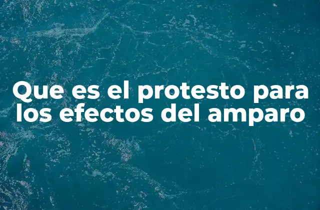 Que es el Protesto para los Efectos Del Amparo 2 La importancia del protesto como mecanismo preventivo