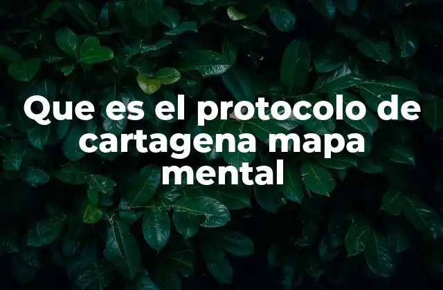 Que es el Protocolo de Cartagena Mapa Mental