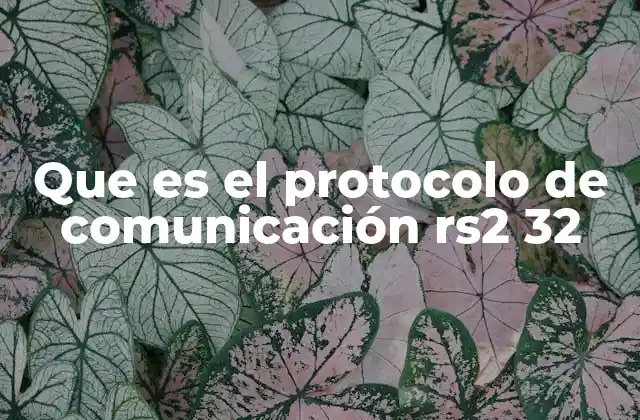 Que es el Protocolo de Comunicación Rs2 32