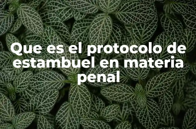 Que es el Protocolo de Estambuel en Materia Penal
