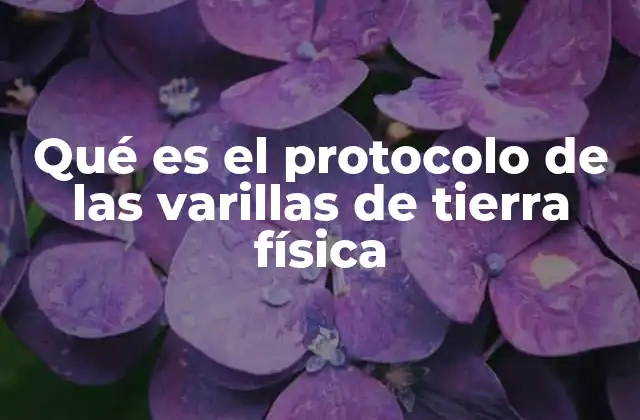 Qué es el Protocolo de las Varillas de Tierra Física