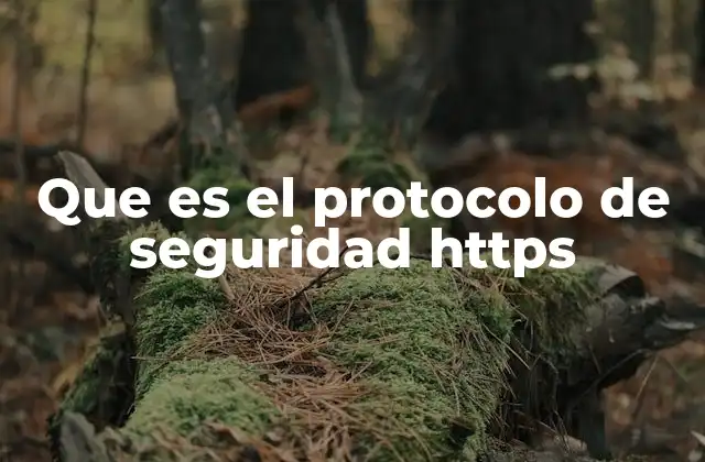Que es el Protocolo de Seguridad Https