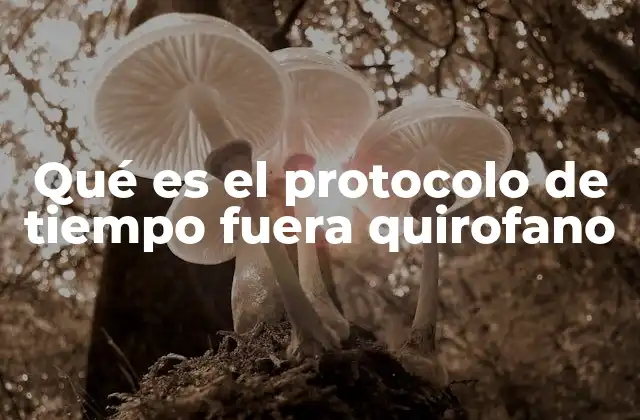 Qué es el Protocolo de Tiempo Fuera Quirofano