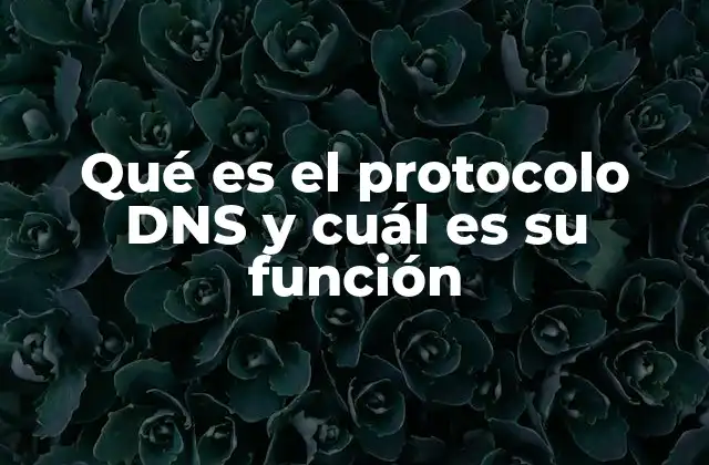 Qué es el Protocolo Dns y Cuál es Su Función