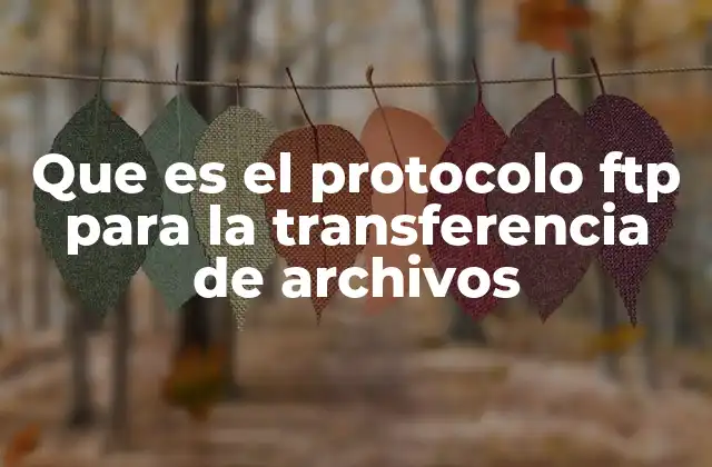 Que es el Protocolo Ftp para la Transferencia de Archivos