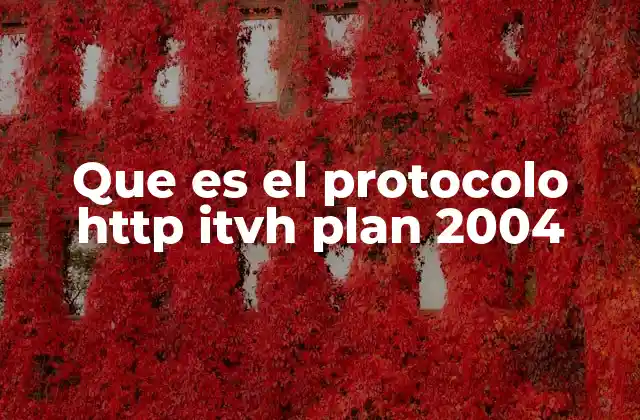 Que es el Protocolo Http Itvh Plan 2004