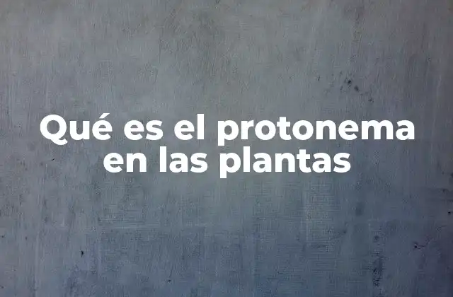 Qué es el Protonema en las Plantas