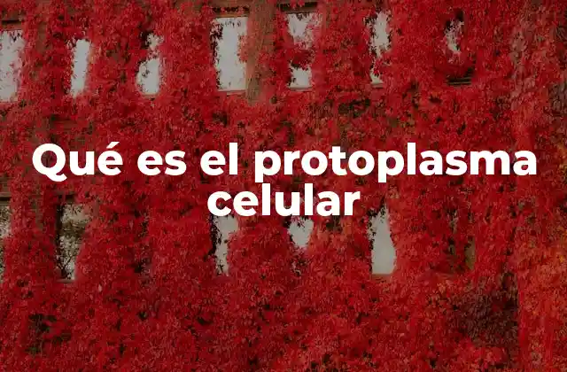 Qué es el Protoplasma Celular
