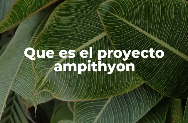 La evolución de los sistemas de inteligencia artificial en el proyecto Ampithyon