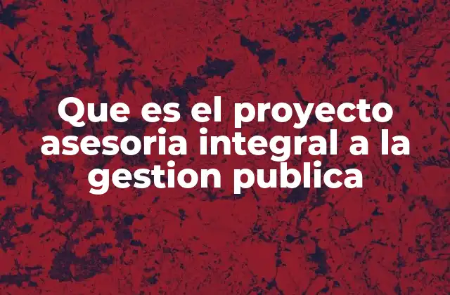 Que es el Proyecto Asesoria Integral a la Gestion Publica