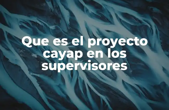 Que es el Proyecto Cayap en los Supervisores