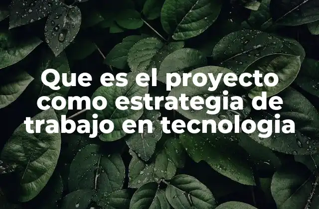 Que es el Proyecto como Estrategia de Trabajo en Tecnologia