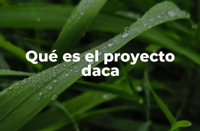 Qué es el Proyecto Daca 2 El impacto social y económico del DACA