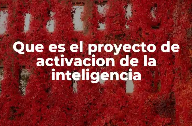 Que es el Proyecto de Activacion de la Inteligencia