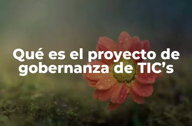 Qué es el Proyecto de Gobernanza de Tic’s