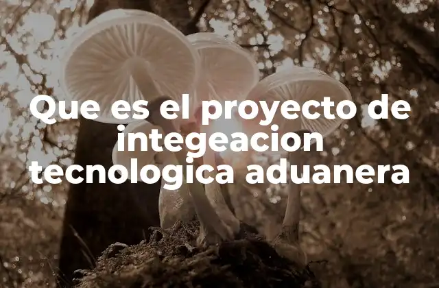 Que es el Proyecto de Integeacion Tecnologica Aduanera