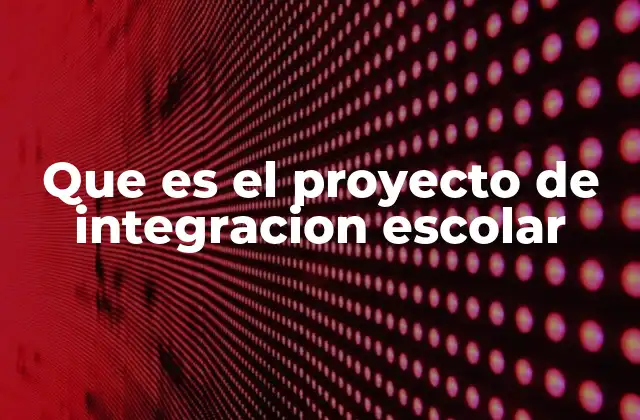 Que es el Proyecto de Integracion Escolar