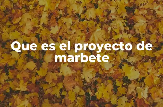 La importancia del proyecto de marbete en el desarrollo urbano