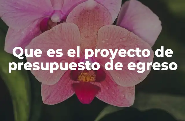 Que es el Proyecto de Presupuesto de Egreso