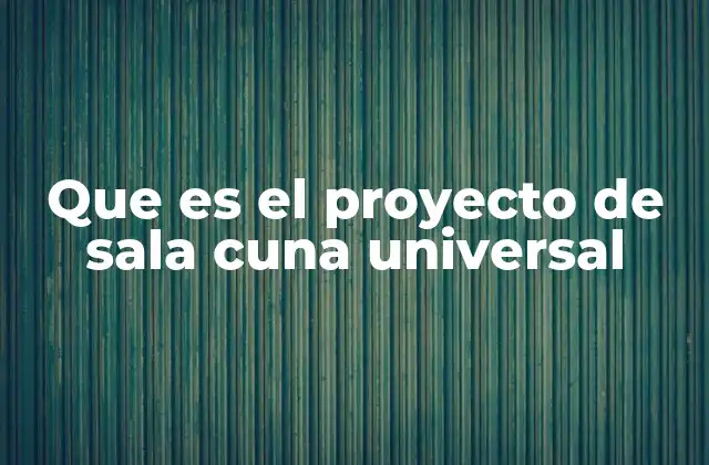 Que es el Proyecto de Sala Cuna Universal