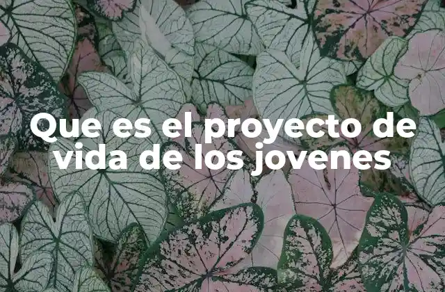 Que es el Proyecto de Vida de los Jovenes