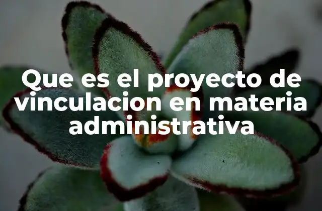 Que es el Proyecto de Vinculacion en Materia Administrativa