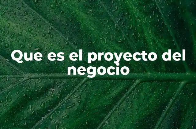Que es el Proyecto Del Negocio